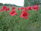 Copy (2) of DSC00171