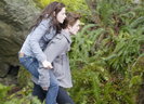 twilight-953250l-imagine[1]