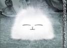 Pufoshenia