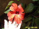 Picture 005