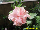 Picture 010