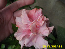 Picture 014
