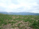 DSC07484
