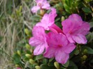 DSC07495