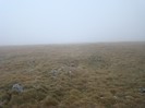 DSC07595