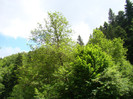 DSC03079