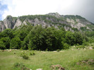 DSC03081