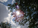 DSC03088