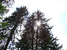 DSC03090
