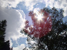 DSC03097