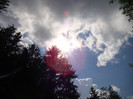 DSC03104