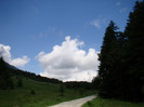 DSC03109