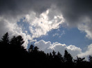 DSC03117