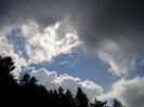 DSC03118