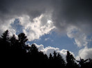 DSC03119
