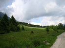 DSC03128