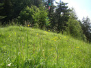 DSC03134