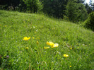 DSC03137