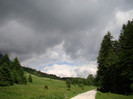 DSC03138