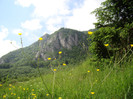DSC03140