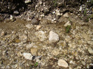DSC03149
