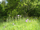 DSC03151