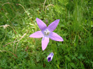 DSC03159
