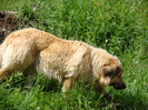 DSC03171