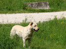 DSC03175