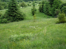 DSC03208