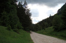 DSC03218