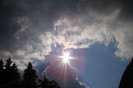 DSC03231
