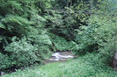 DSC03244