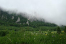 DSC03247