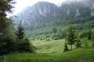 DSC03255