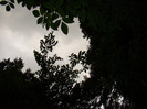 DSC03269
