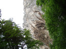 DSC03272