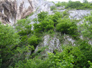 DSC03281