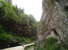 DSC03283