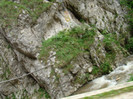 DSC03285