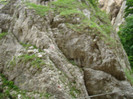 DSC03286