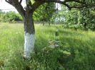 DSC04550
