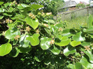 DSC04553
