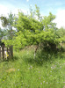 DSC04554_rotation