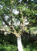 DSC04565_rotation
