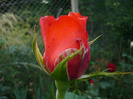 022