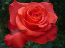 019
