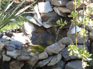 DSC00185