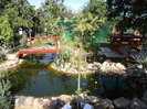 DSC00190