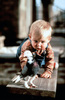 Baby\'s Day Out (2)